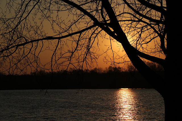 Morning light