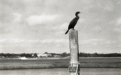 20200815B 005