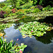 FR - Giverny - Garten von Claude Monet