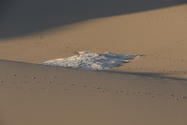 Mesquite Flat Sand Dunes