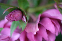 DSCF2661