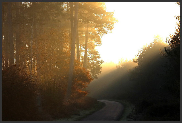 lever du soleil d' hiver ....