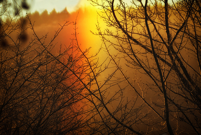 Réverbération au crépuscule 1