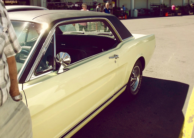 Parking lot Mustang