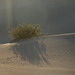 Mesquite Flat Sand Dunes