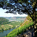 DE - Winningen - Moselle valley lookout