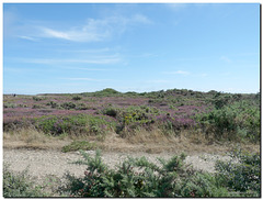 Penisola di Crozon