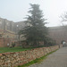 Italy, The Abbey of San Galgano in the Morning Fog