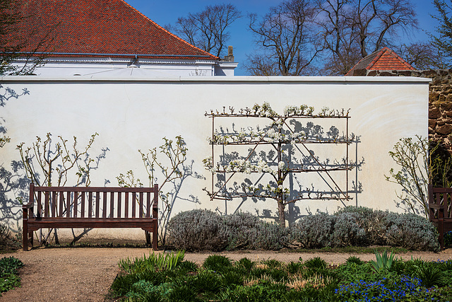 Im Schlosspark Neuhardenberg