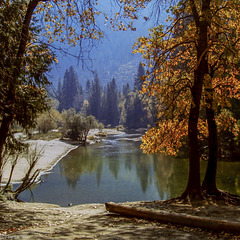 Tenaya Creek - Yosemite NP - Sept. 1989