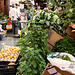 La Palma, Santa Cruz de la Palma Covered Market ¦ (5)