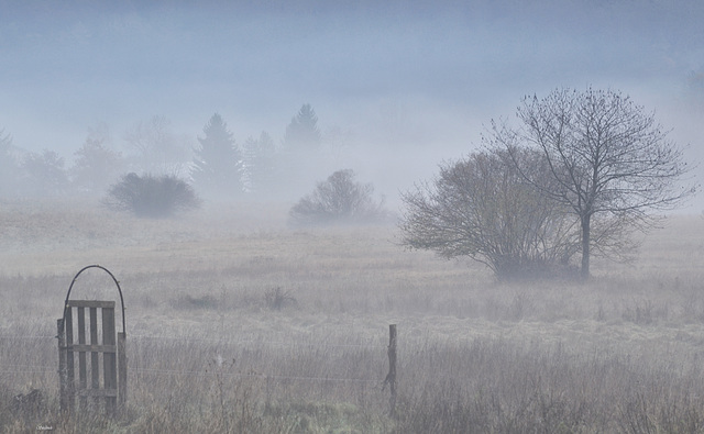 a foggy day