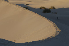 Mesquite Flat Sand Dunes