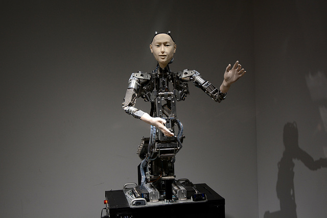 Tokyo, Robot Model at the National Museum of Emerging Science and Innovation