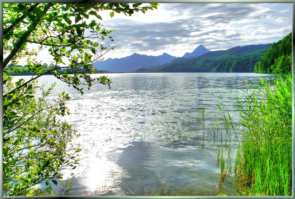 Morgenlicht am Weissensee. ©UdoSm