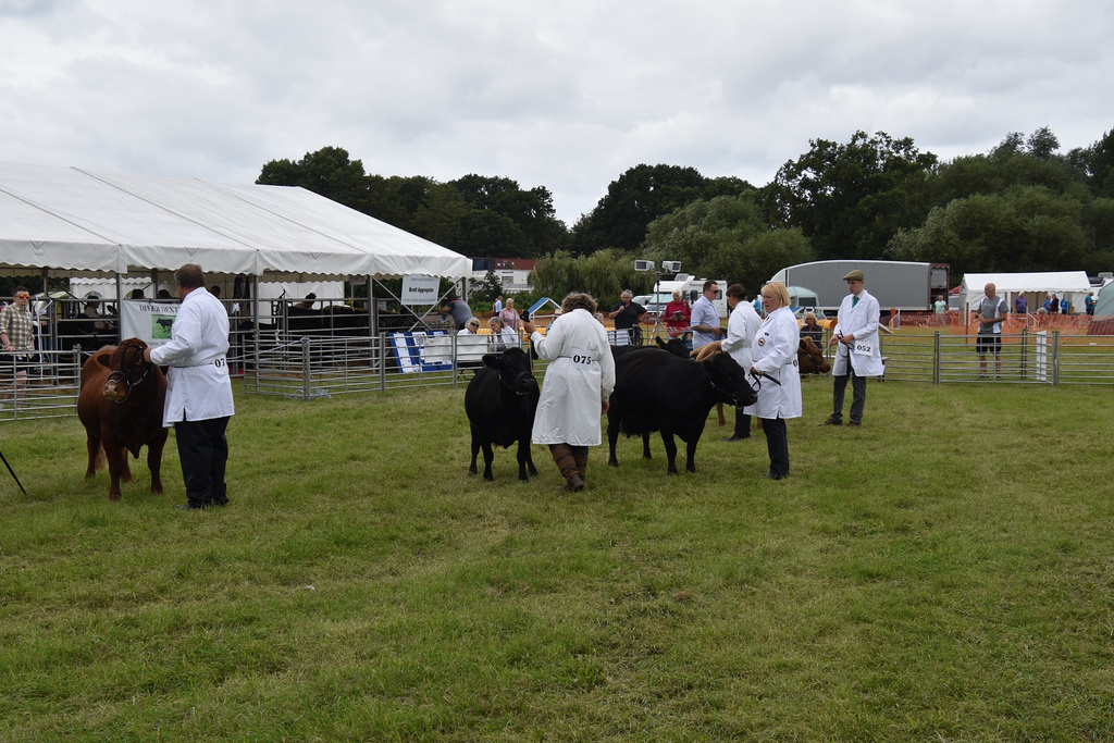179thcasaug122023 (1231)