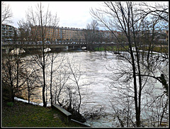 Pamplona: río Arga en crecida 15