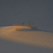 Mesquite Flat Sand Dunes