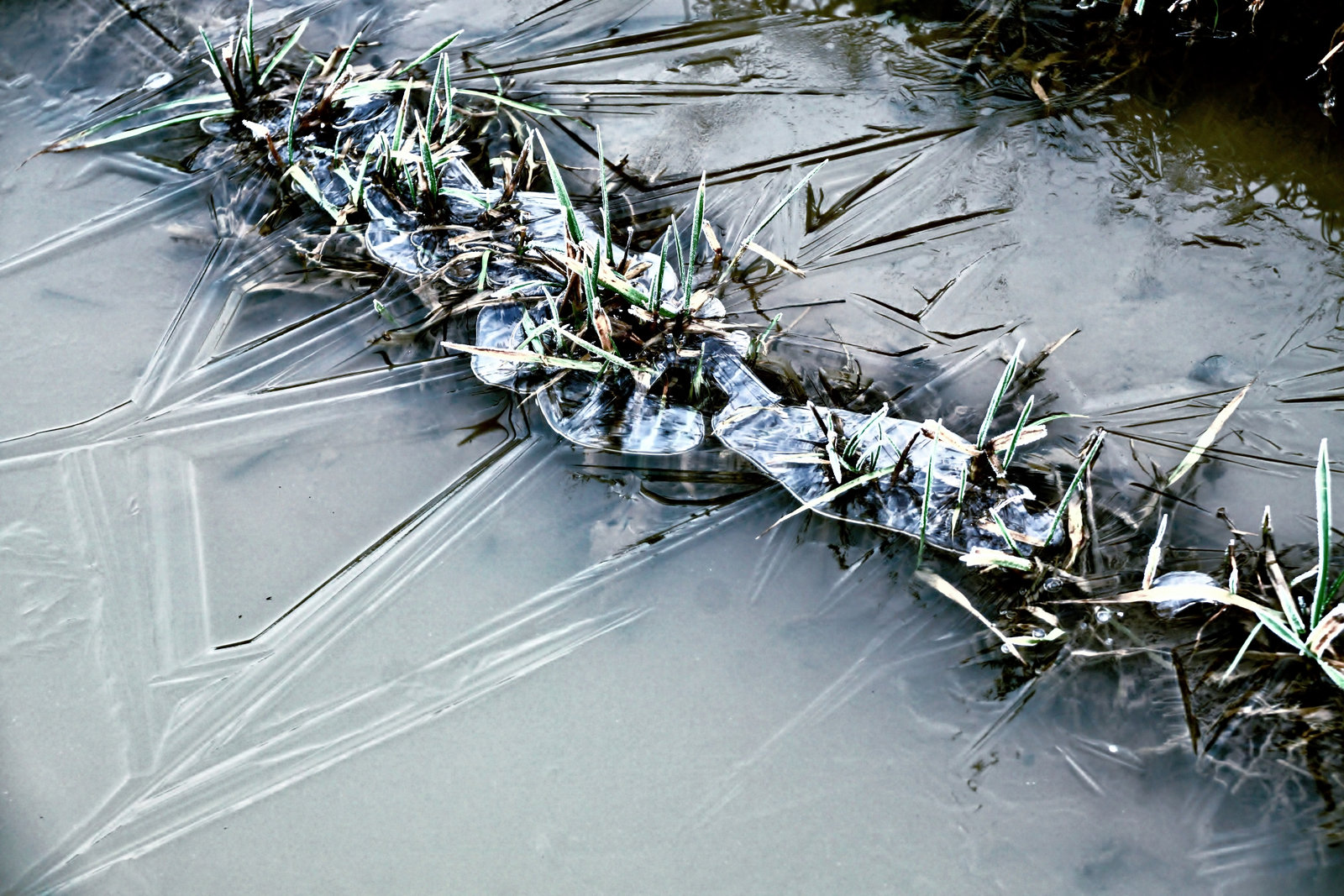 Nur eine gefrorene Pfütze ... Only a frozen puddle ...