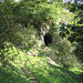 Cave in Wolfscote Dale