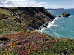 Basset Cove and Crane Islands at high tide. (for Pam)