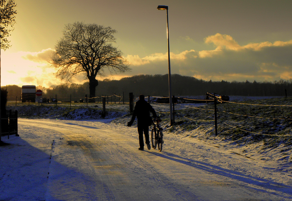 -HFF  for everyone   friday  the 13th -Dec-2019.......(Walk don't drive )