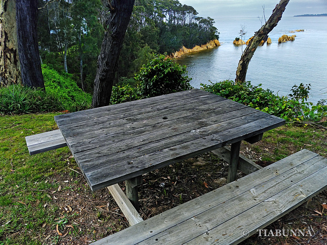 Bench with a view