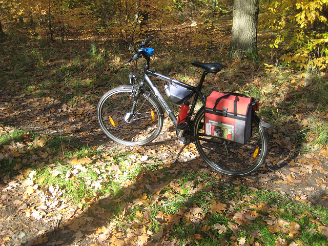 Mit "Pegasus" im Herbstwald unterwegs