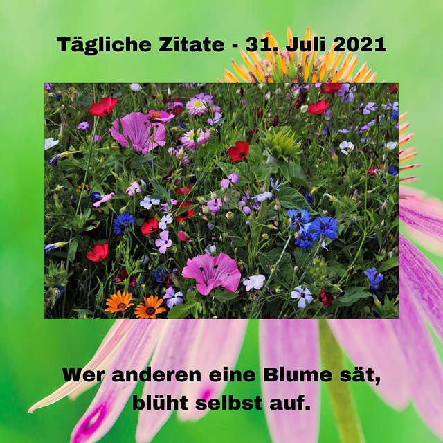 Tägliche Zitate - 31. Juli 2021