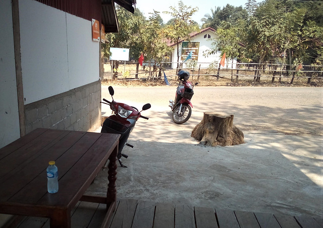 Eau de souche / Stump water    (Laos)