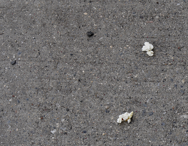 White Popcorn, Black Pebbles