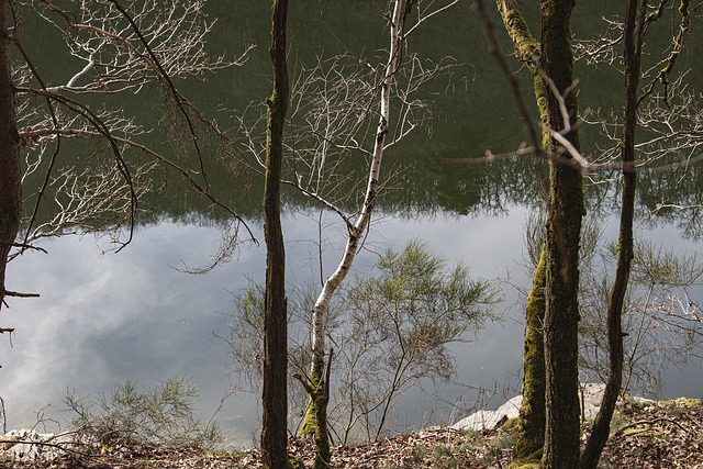 Am Stausee entlang