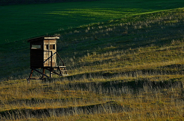 Wait to be seated.....mit Herbst-PiPs :)