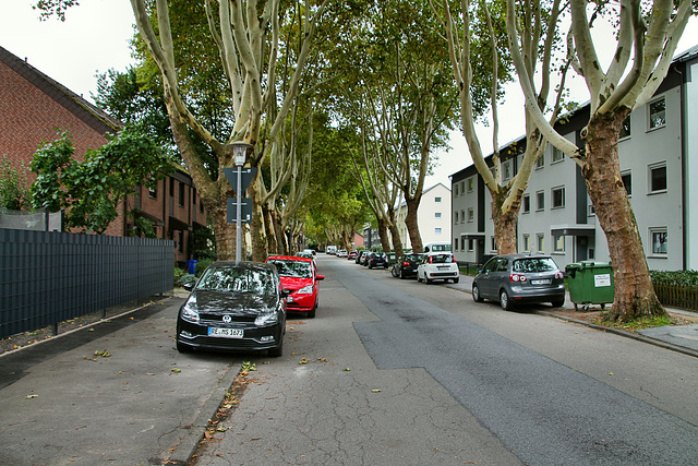 Franzstraße (Gladbeck-Brauck) / 22.09.2018