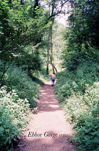 Ebbor Gorge (Scan from 1991)