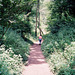 Ebbor Gorge (Scan from 1991)