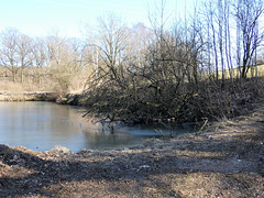 Weiher am Weg nach Meßnerskreith