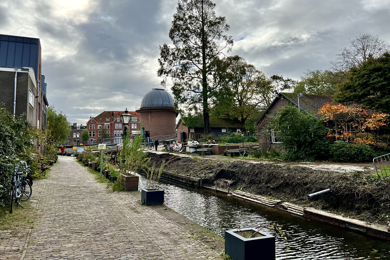 New path alongside the Hortus Botanicus