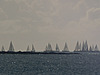 régate du dimanche