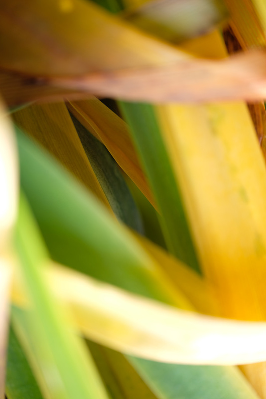DSCF0084