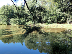 am Weiher