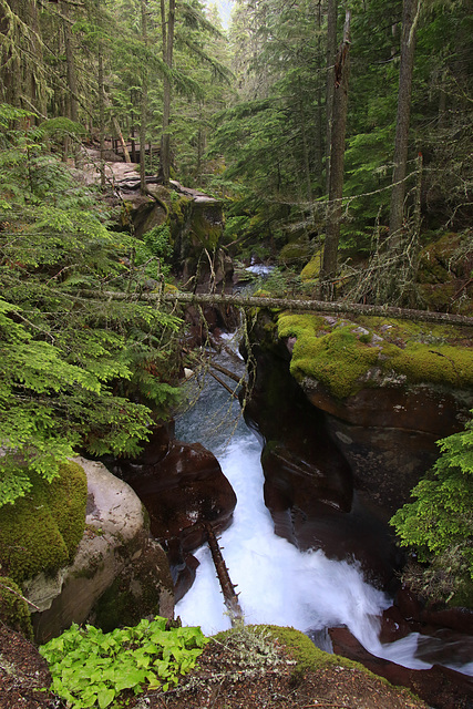 Avalanche Creek