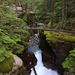 Avalanche Creek