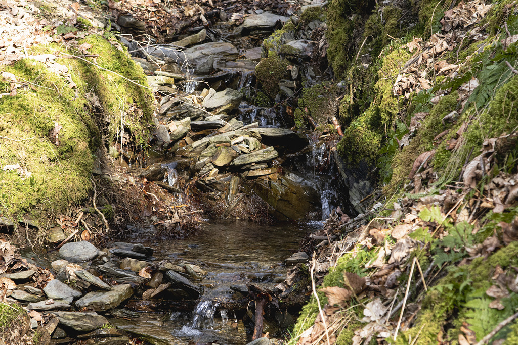 Schiefer und Wasser