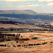 Pendle Hill viewed from Crown Point.