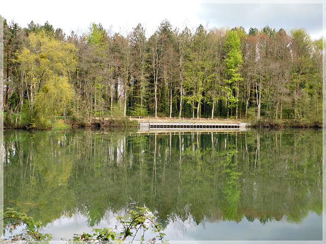 Reflets à l'étang de Bétineuc (22)