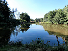 am Weiher