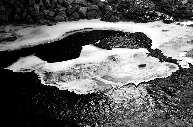 Un poisson sur le lac gelé.....