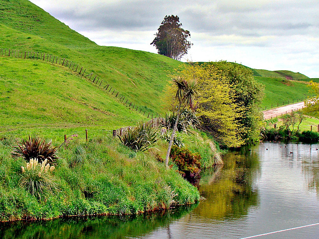 Reflections in Farm Pond.