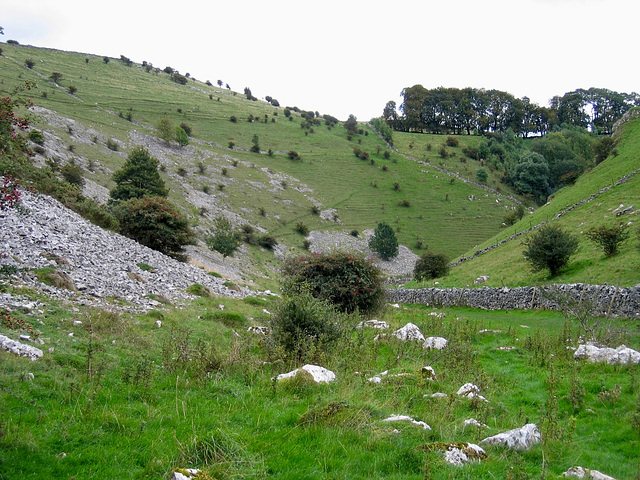 Biggin Dale